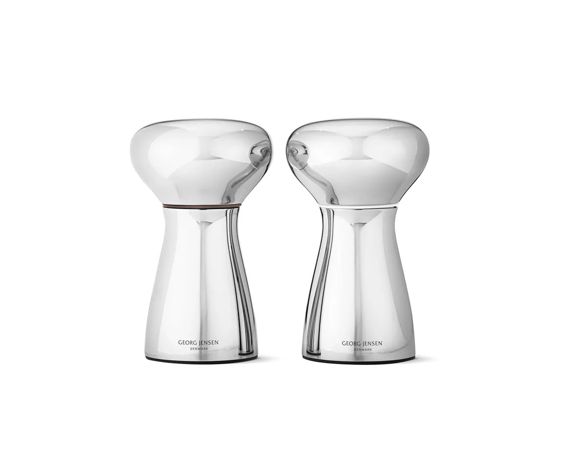 Alfredo Salt and Pepper Grinder Set, Small