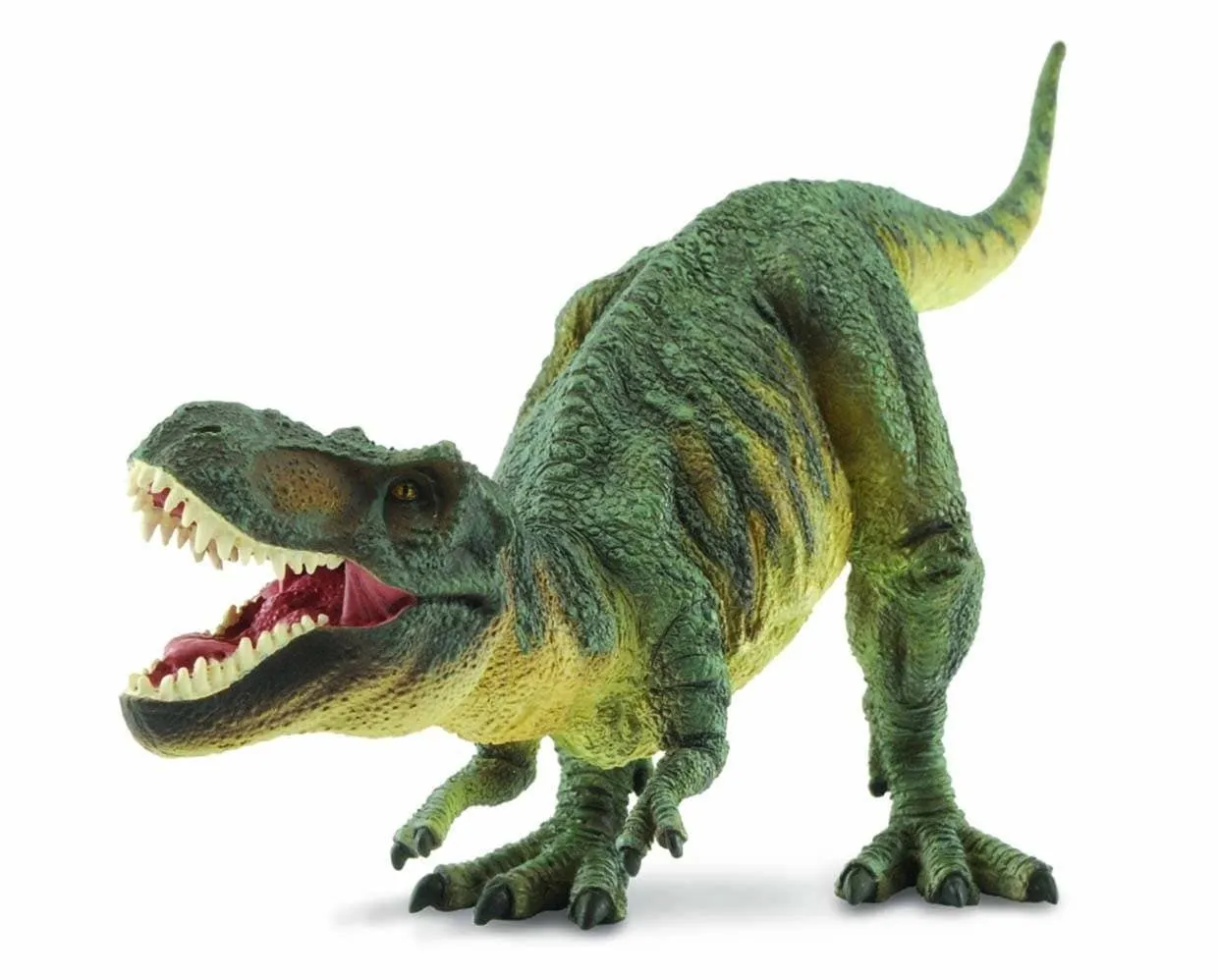 Tyrannosaurus Rex 1:40 Scale